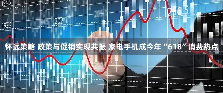 怀远策略 政策与促销实现共振 家电手机成今年“618”消费热点