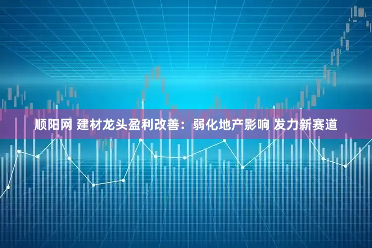 顺阳网 建材龙头盈利改善：弱化地产影响 发力新赛道