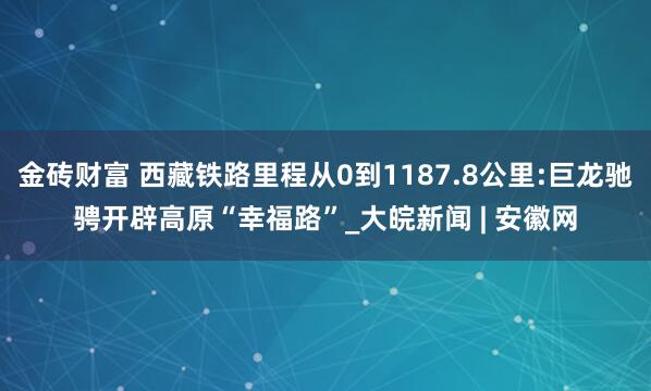 金砖财富 西藏铁路里程从0到1187.8公里:巨龙驰骋开辟高原“幸福路”_大皖新闻 | 安徽网