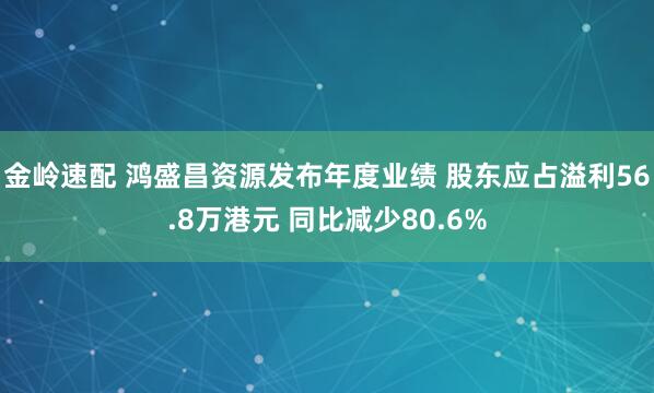 金岭速配 鸿盛昌资源发布年度业绩 股东应占溢利56.8万港元 同比减少80.6%