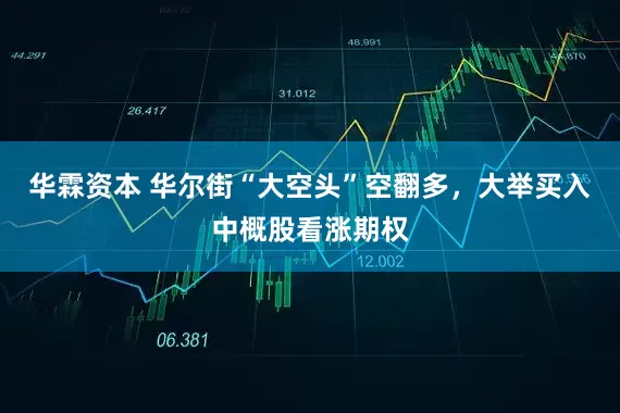 华霖资本 华尔街“大空头”空翻多，大举买入中概股看涨期权